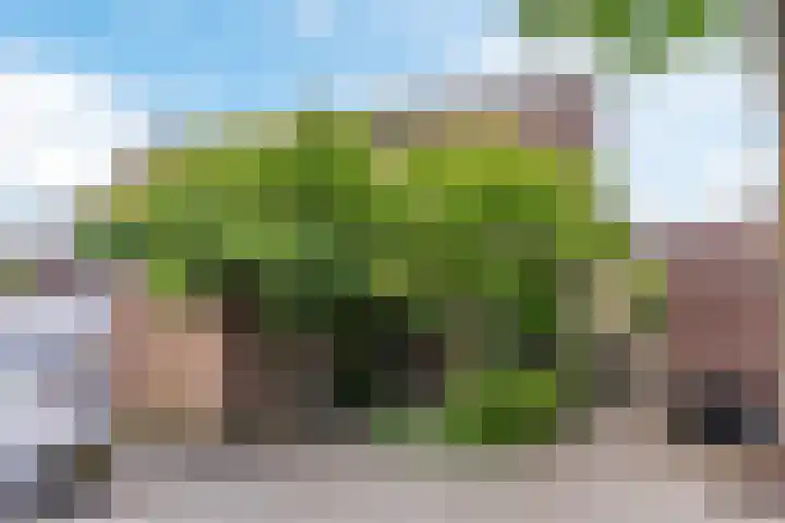 Combinatiepolder 74 's-Hertogenbosch thumbnail 4