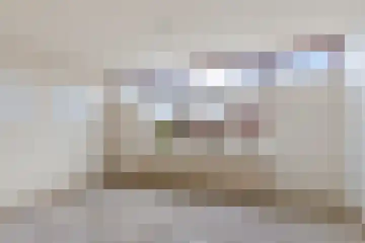 Commanderij 19 Sneek thumbnail 12