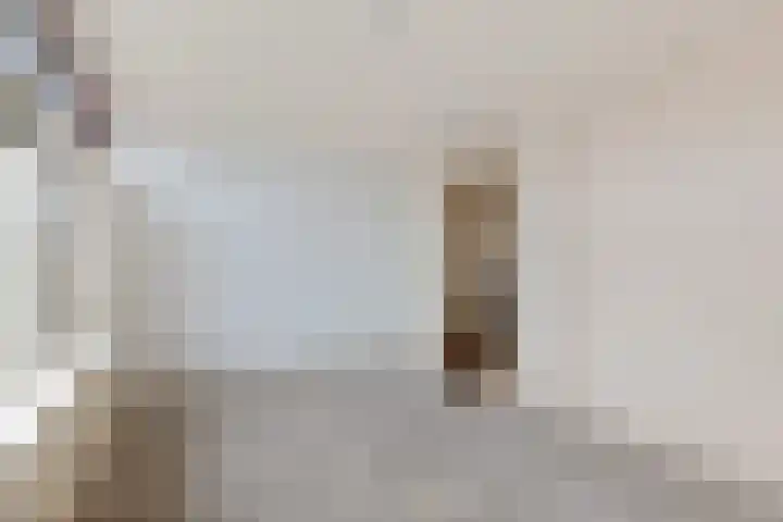 Commanderij 19 Sneek thumbnail 13