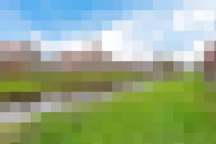 Commanderij 19 Sneek thumbnail 19