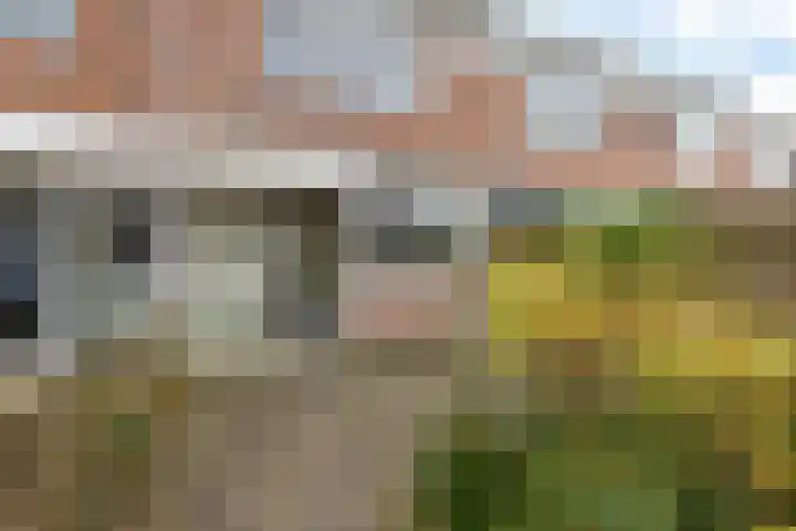 Commanderij 19 Sneek foto 2