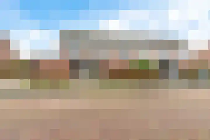 Commanderij 19 Sneek thumbnail 23