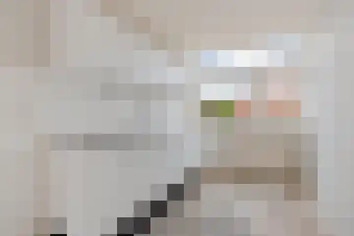 Commanderij 19 Sneek thumbnail 4