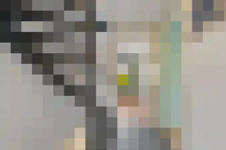 Commanderij 61 Maasland thumbnail 26