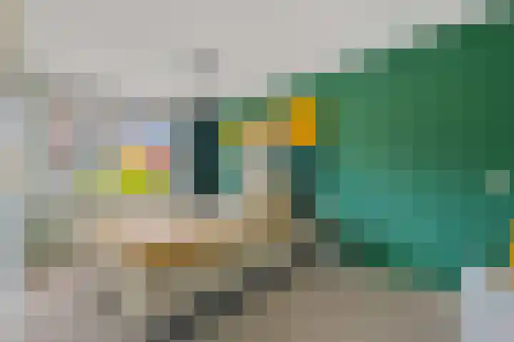 Commanderij 61 Maasland thumbnail 27