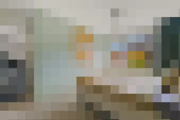Commanderij 61 Maasland thumbnail 29