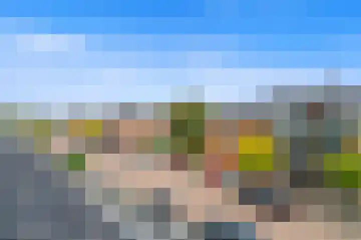 Commanderij 61 Maasland thumbnail 41