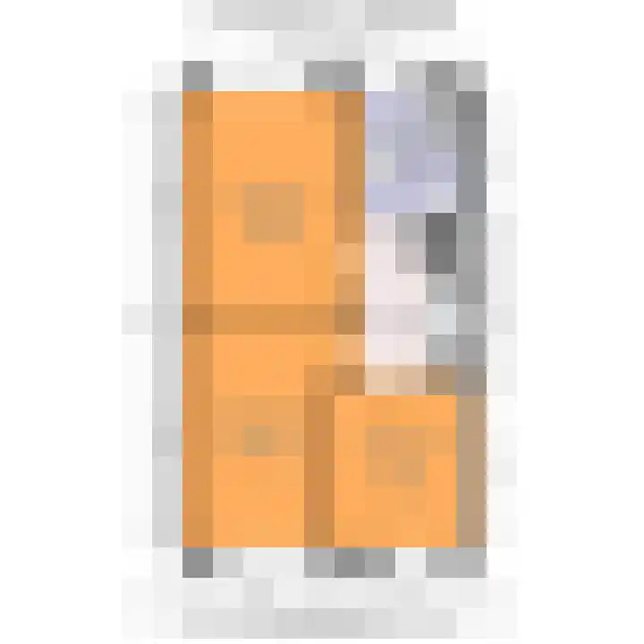 Commanderij 61 Maasland thumbnail 46