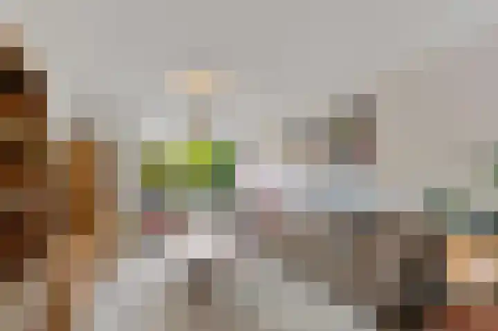 Commanderij 61 Maasland thumbnail 5