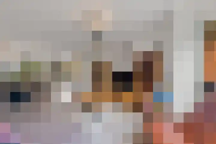Commanderij 61 Maasland thumbnail 6