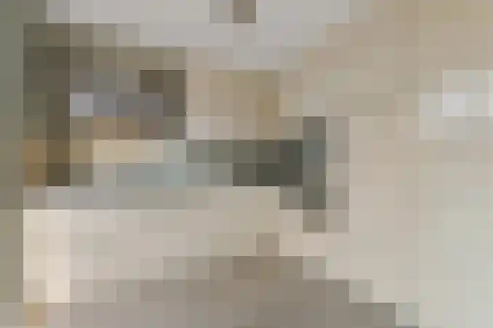 Commanderij 61 Maasland thumbnail 9