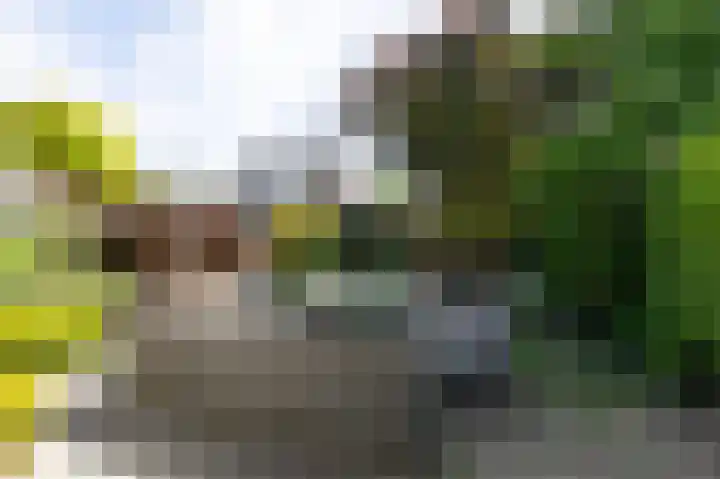 Commandeurlant 26 Westervoort thumbnail 38