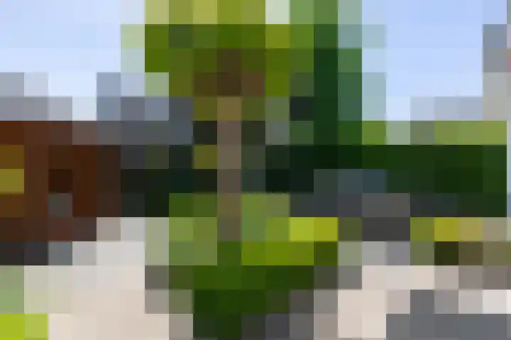 Commandeurlant 26 Westervoort thumbnail 40