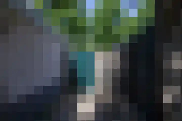 Commandeurlant 26 Westervoort thumbnail 41