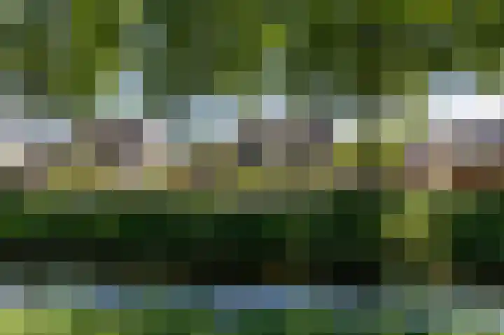 Commandeurlant 26 Westervoort thumbnail 48