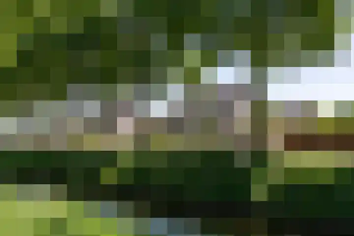 Commandeurlant 26 Westervoort thumbnail 49