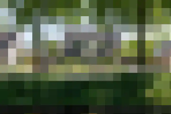 Commandeurlant 26 Westervoort thumbnail 5