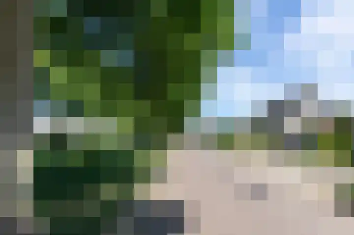 Commandeurlant 26 Westervoort thumbnail 53