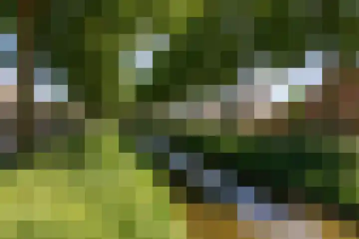 Commandeurlant 26 Westervoort thumbnail 54