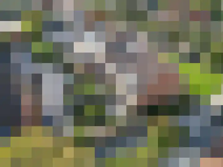 Commandeurslaan 27 Katwijk thumbnail 43