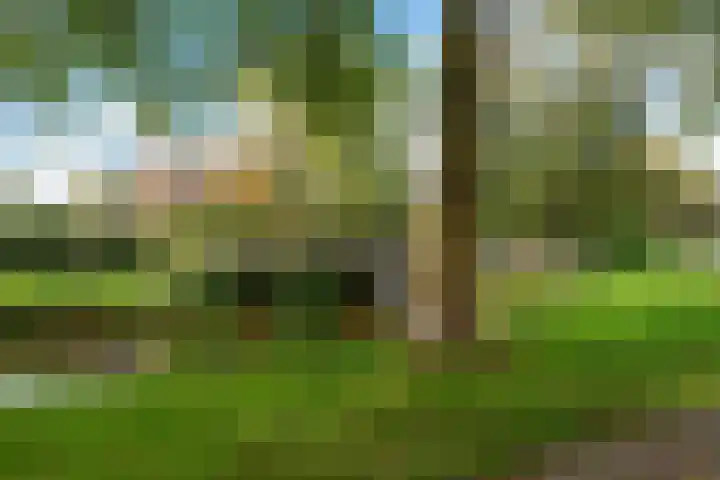 Commandeurslaan 39 Heemskerk thumbnail 38