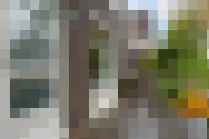 Commandeurslaan 39 Heemskerk thumbnail 7