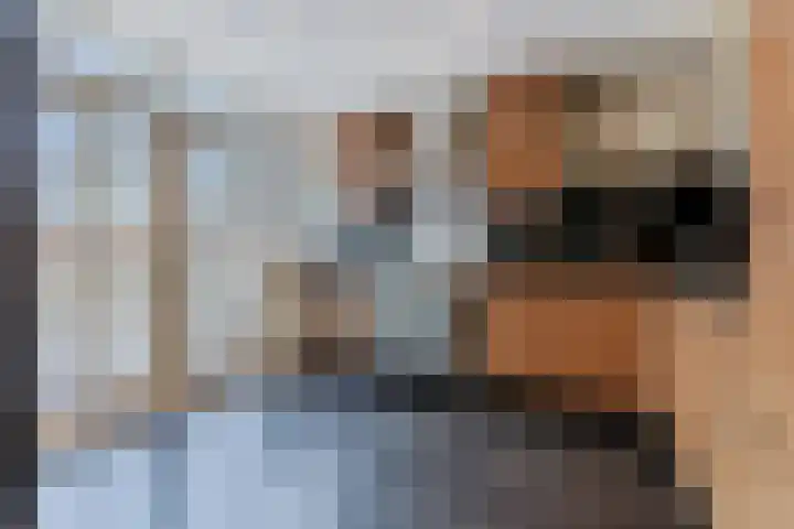 Commandeurslaan 87 Heemskerk thumbnail 6