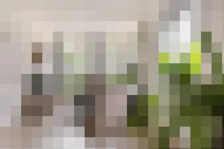 Commandeursstraat 10 Brielle thumbnail 13