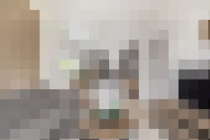 Commandeursstraat 10 Brielle thumbnail 16