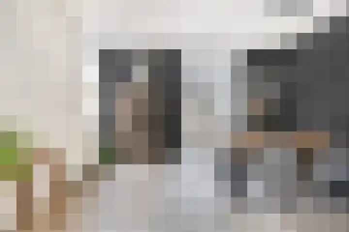 Commandeursstraat 10 Brielle thumbnail 18
