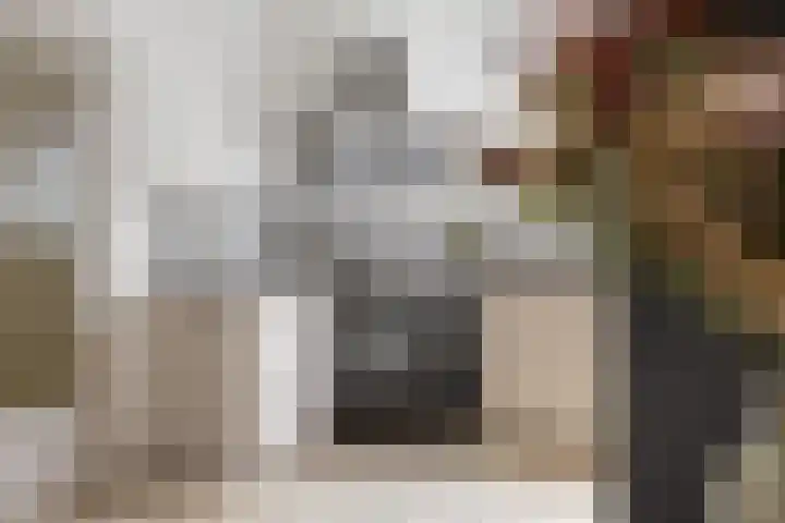 Commandeursstraat 10 Brielle thumbnail 20