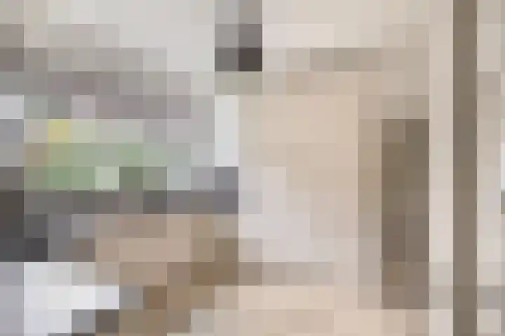 Commandeursstraat 10 Brielle thumbnail 23