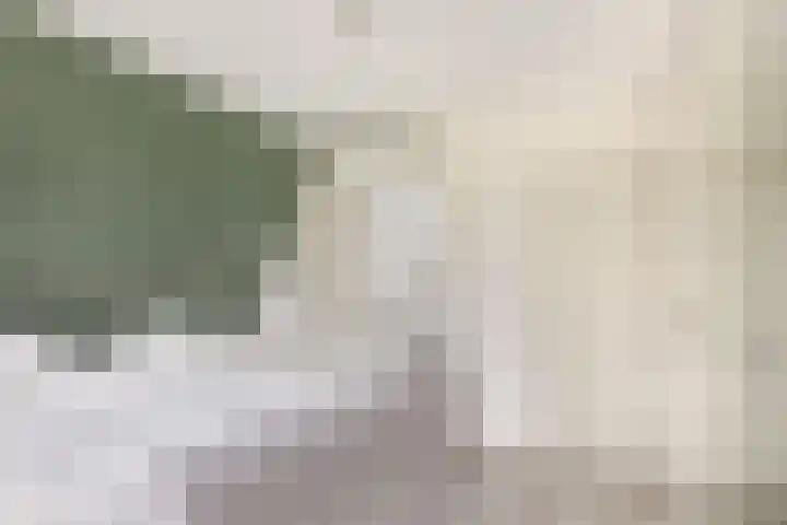 Commandeursstraat 10 Brielle thumbnail 29