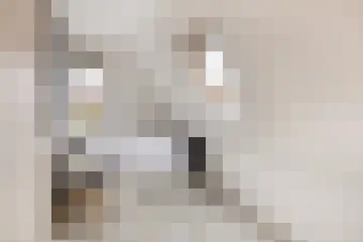 Commandeursstraat 10 Brielle thumbnail 30