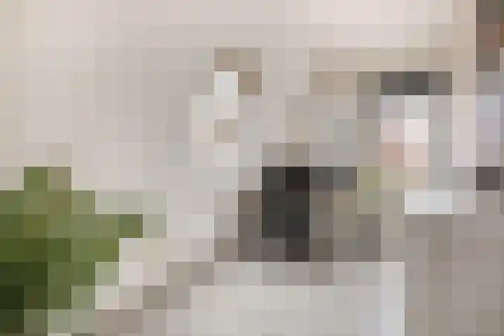 Commandeursstraat 10 Brielle thumbnail 31