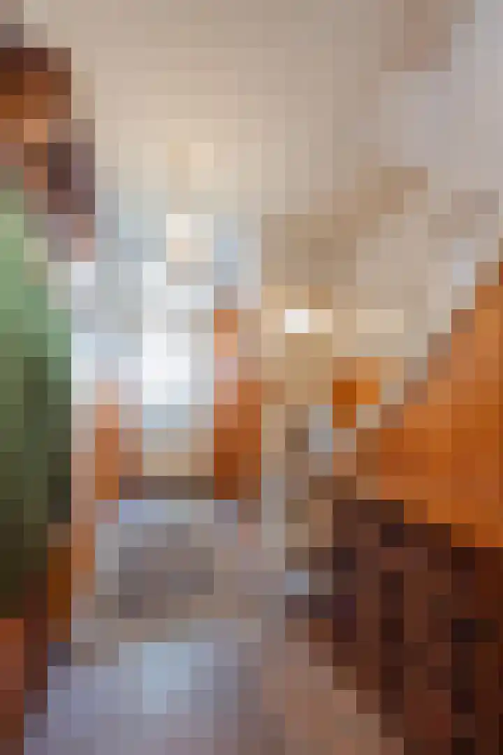 Commandeurstraat 17 Geertruidenberg thumbnail 17