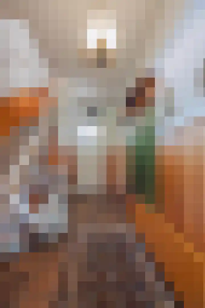 Commandeurstraat 17 Geertruidenberg thumbnail 18