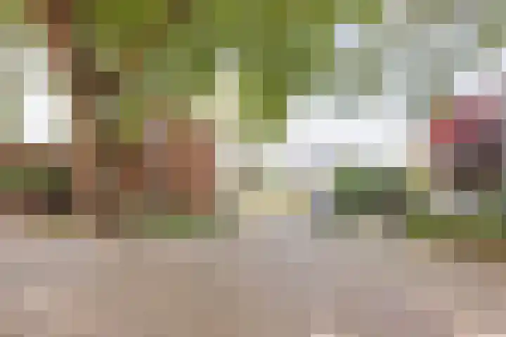 Commandeurstraat 17 Geertruidenberg thumbnail 41