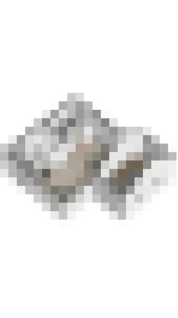 Commandeurstraat 17 Geertruidenberg thumbnail 48
