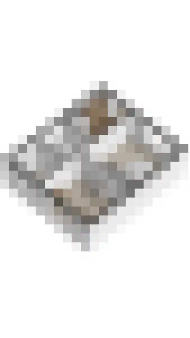 Commandeurstraat 17 Geertruidenberg thumbnail 49