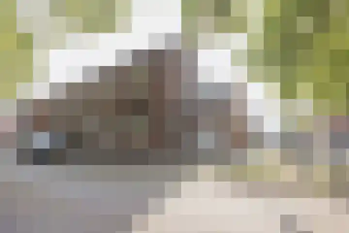 Commandeurstraat 17 Geertruidenberg thumbnail 51