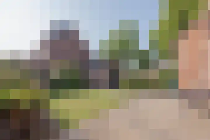 Commandeurstraat 17 Geertruidenberg thumbnail 9