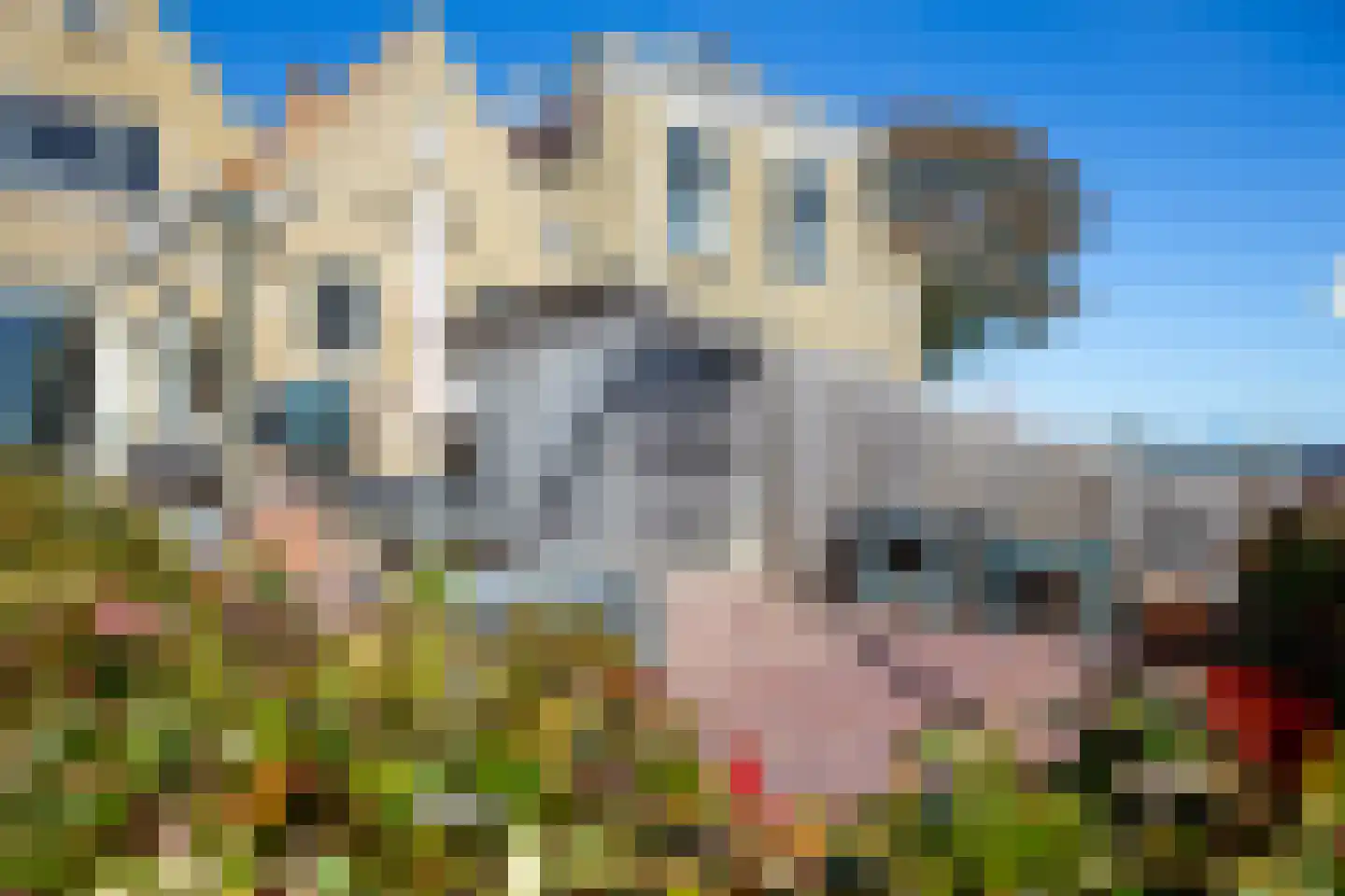Commandeurstraat 3 West-Terschelling thumbnail 30