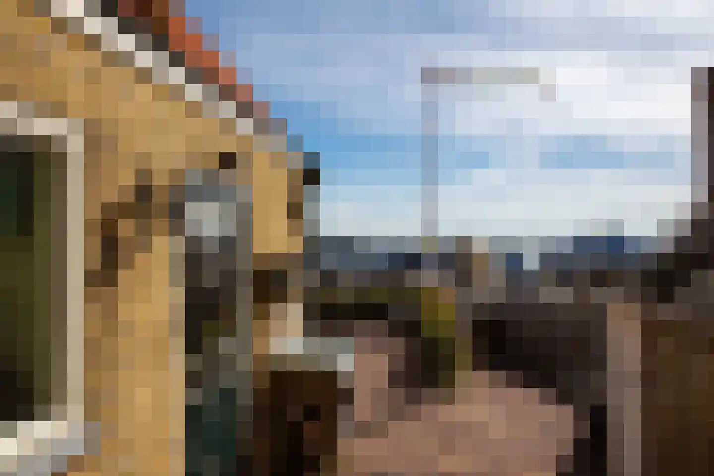 Commandeurstraat 3 West-Terschelling thumbnail 32