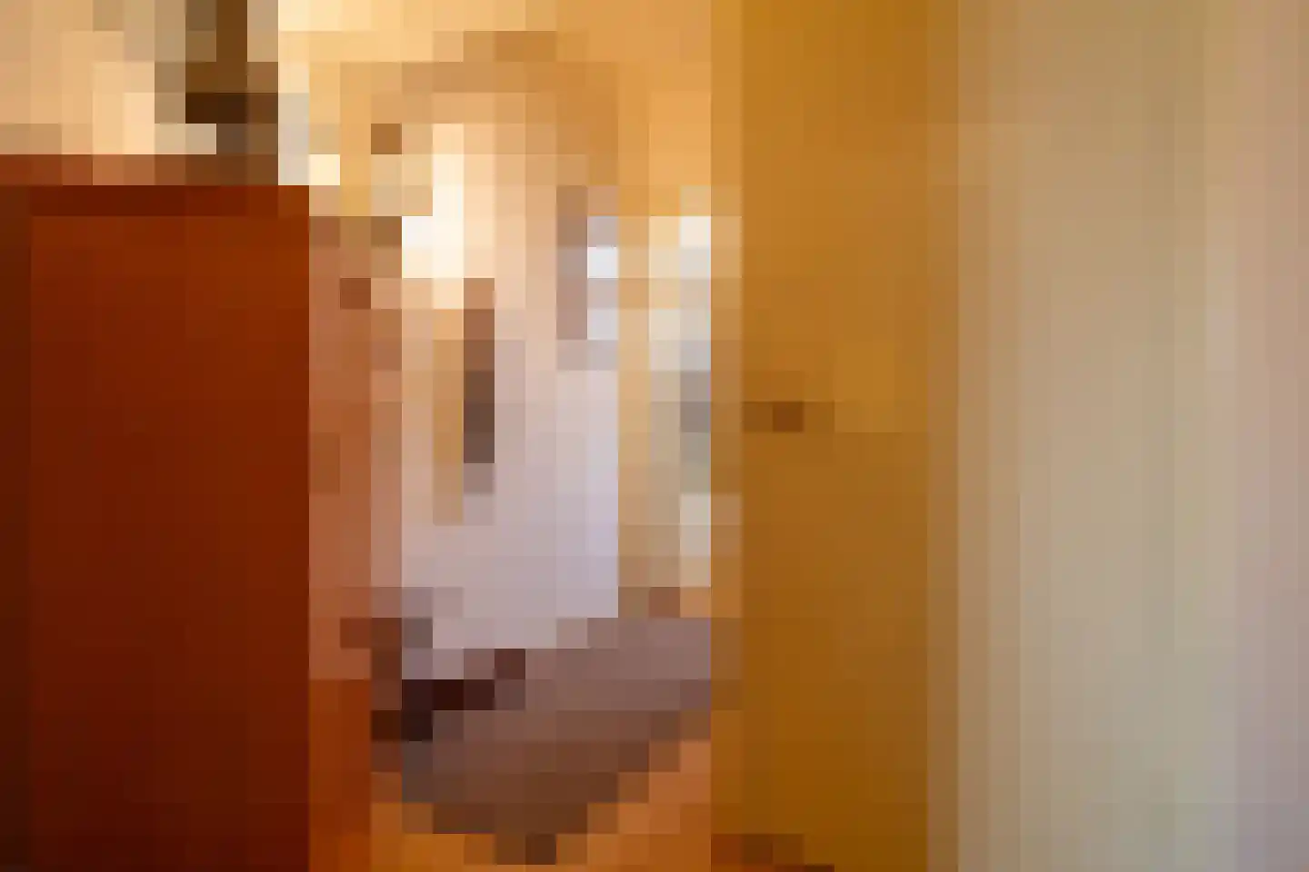 Commandeurstraat 3 West-Terschelling thumbnail 6