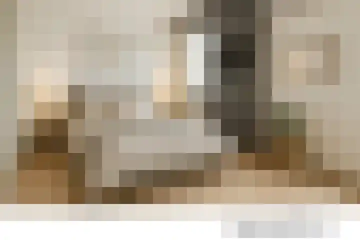 Commandeurstraat 9 Mechelen thumbnail 22