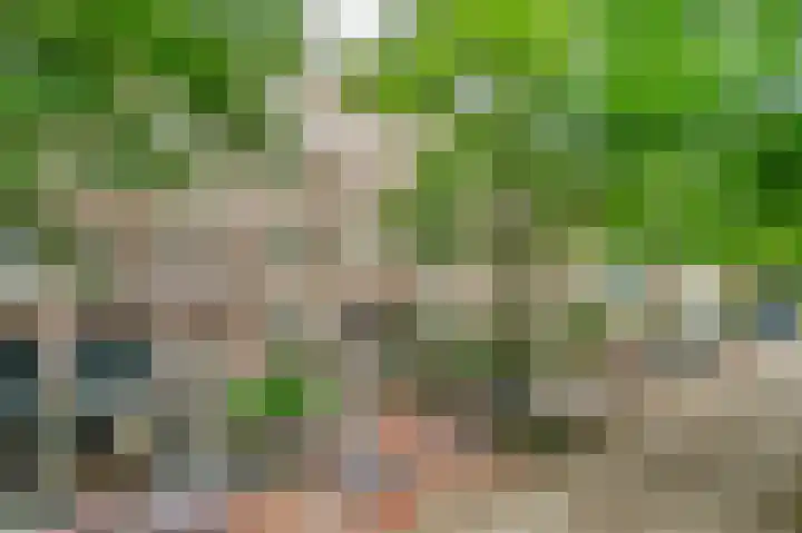 Commelinstraat 15 B Amsterdam thumbnail 25