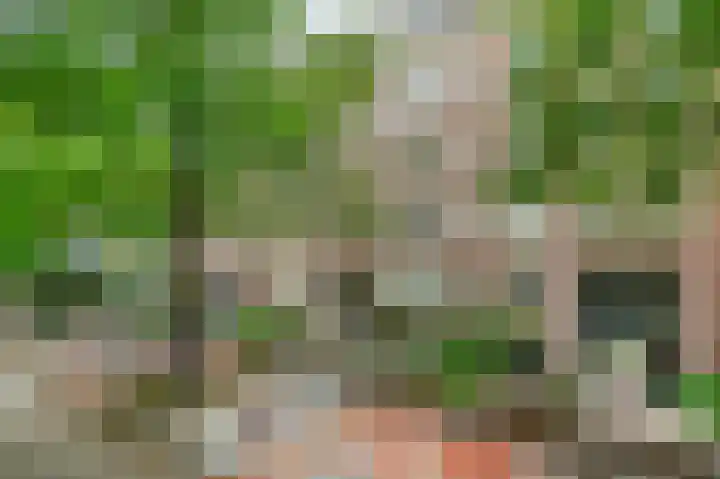 Commelinstraat 15 B Amsterdam thumbnail 26