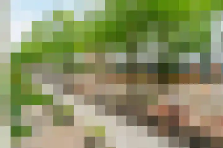 Commelinstraat 15 B Amsterdam thumbnail 29