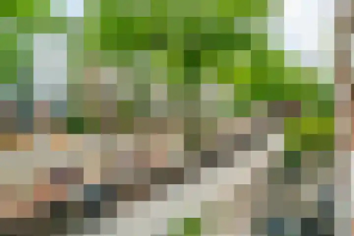 Commelinstraat 15 B Amsterdam thumbnail 30
